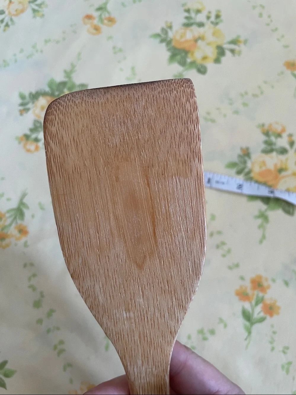 Louisiana Pick Your Passion Wooden Spoon